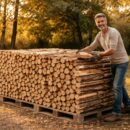 découvrez combien de temps il vous faut pour ranger 10 stères de bois sans stress grâce à nos astuces jardinage pratiques et efficaces.