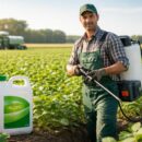 découvrez les conseils d'experts pour un dosage optimal du roundup par litre, afin d'assurer une efficacité maximale et protéger vos cultures agricoles.