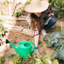 Jardin en permaculture