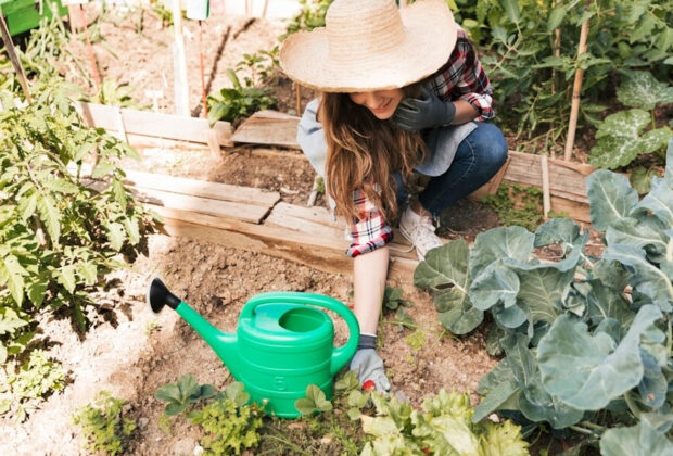 Jardin en permaculture