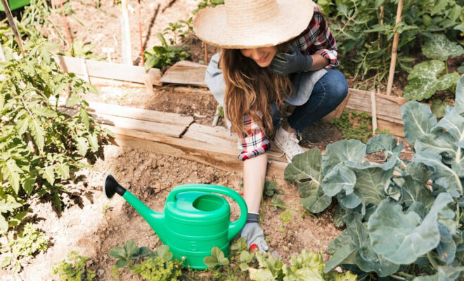 Jardin en permaculture