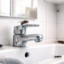 découvrez les différentes espèces d'insectes courantes dans la salle de bain et apprenez à les identifier facilement pour mieux les gérer.