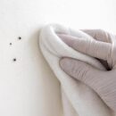découvrez la meilleure méthode pour enlever efficacement la crotte de mouche sur une peinture fraîche sans l'endommager, et retrouvez une surface propre et impeccable.