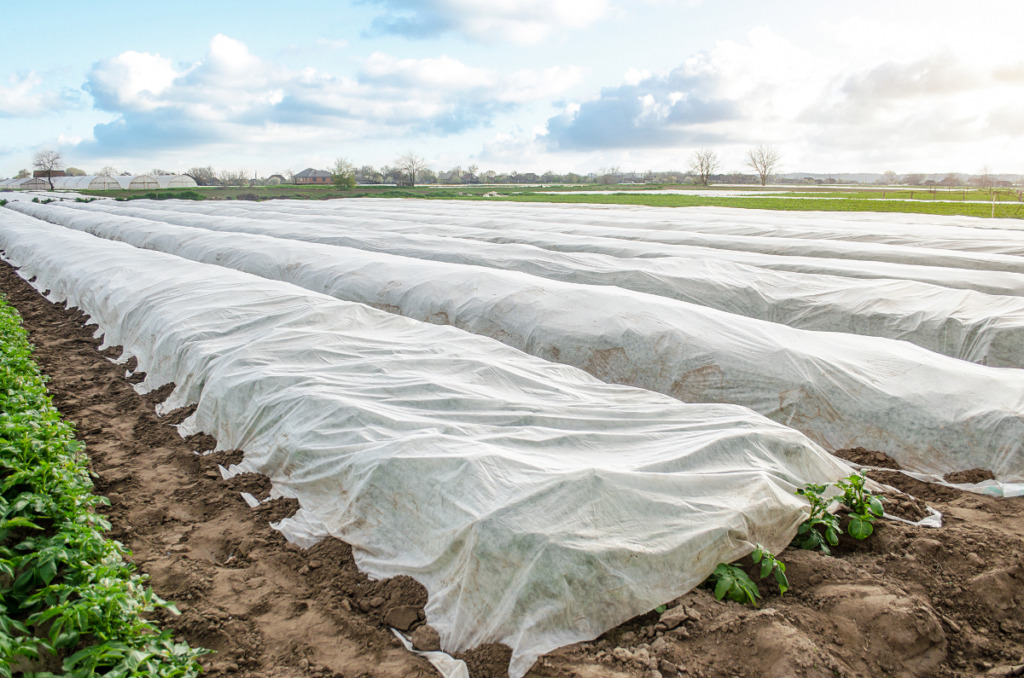 bâche agricole