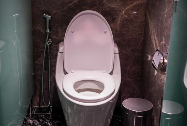 cuvette des wc