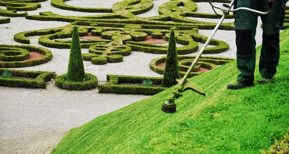 débroussailler un jardin