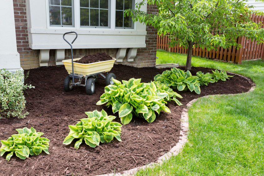 entretien du jardin