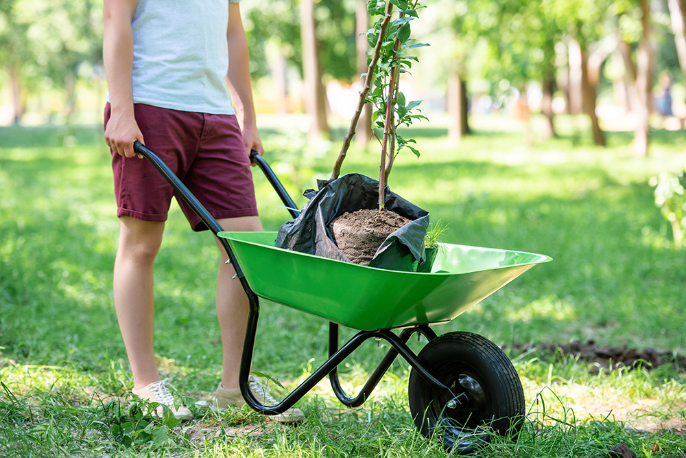 indispensables pour jardin