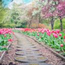 Chemin de jardin