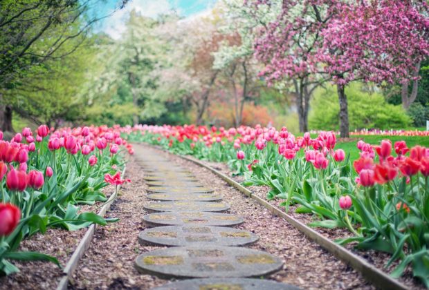 Chemin de jardin