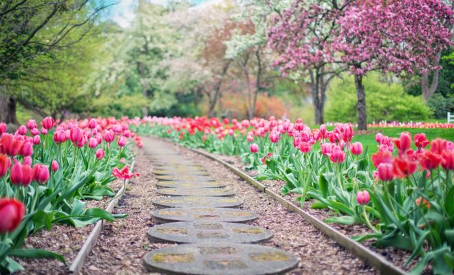 Chemin de jardin