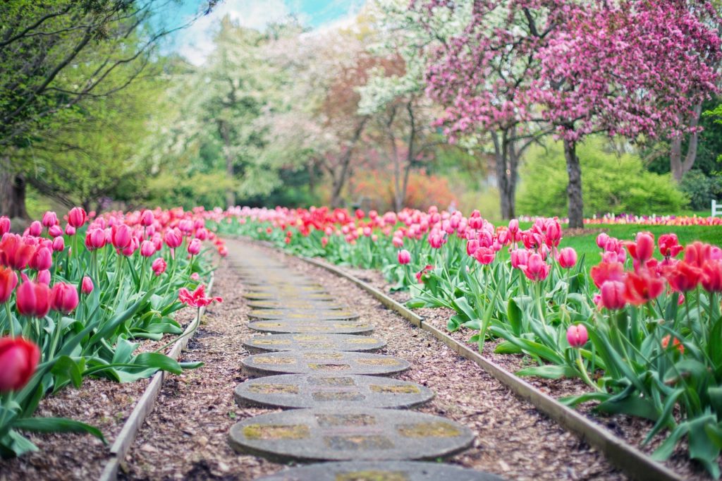 Chemin de jardin