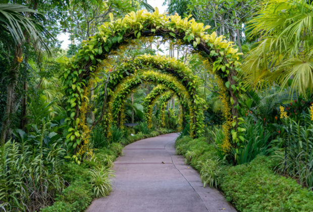 la romance à votre jardin