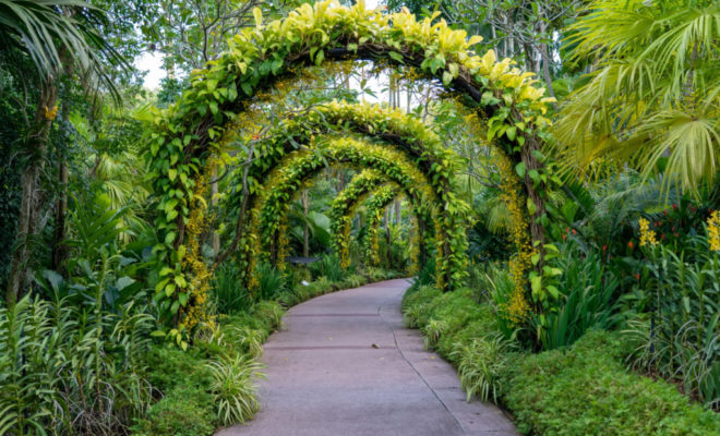 la romance à votre jardin