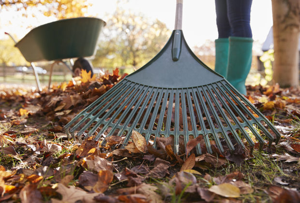 outils de ramassage de feuilles