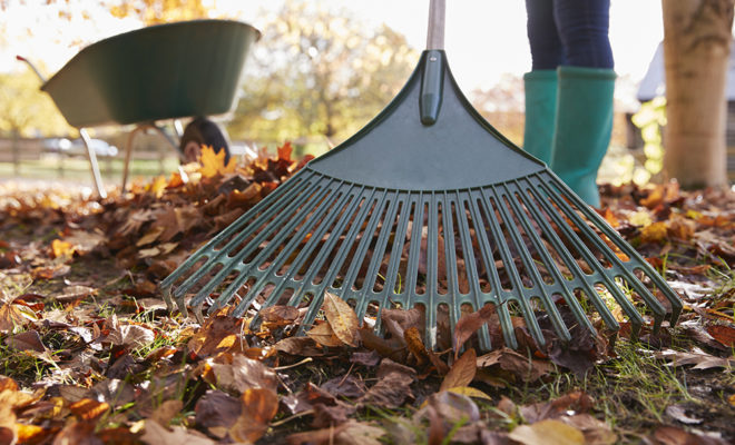 outils de ramassage de feuilles