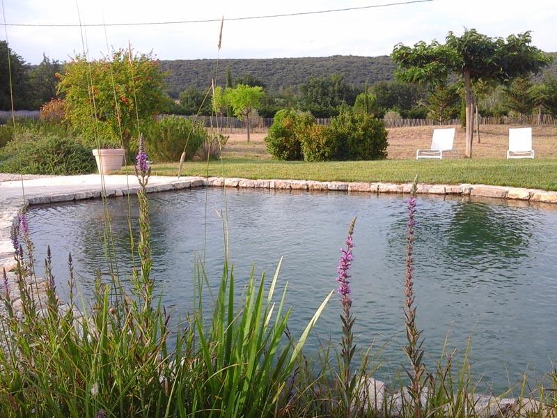 piscine écologique