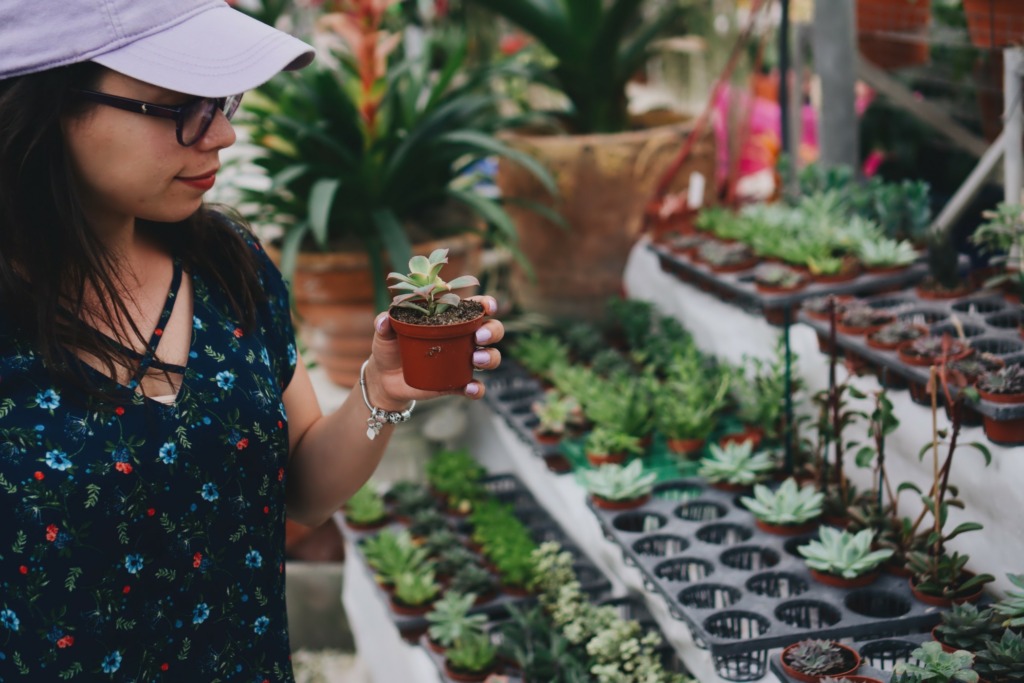 plante adapté jardin