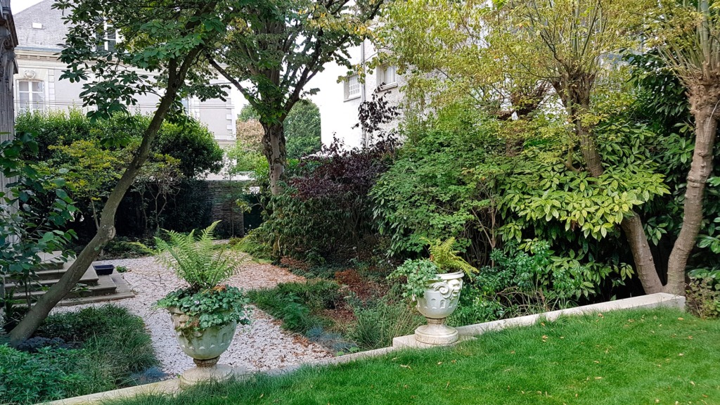 refaire votre jardin