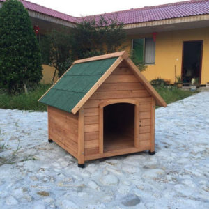 refuge pour animaux