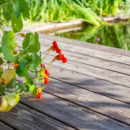 terrasse en bois