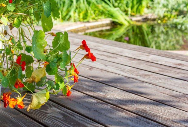 terrasse en bois