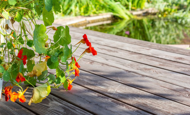 terrasse en bois