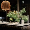 green plant on brown wooden table