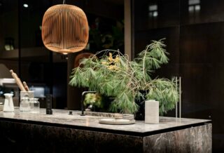 green plant on brown wooden table
