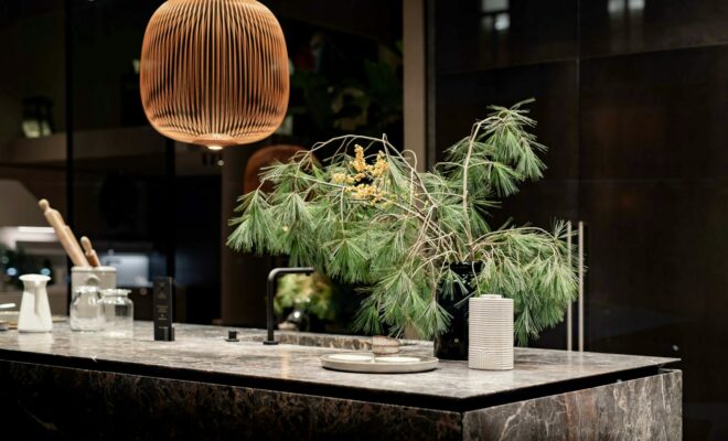 green plant on brown wooden table