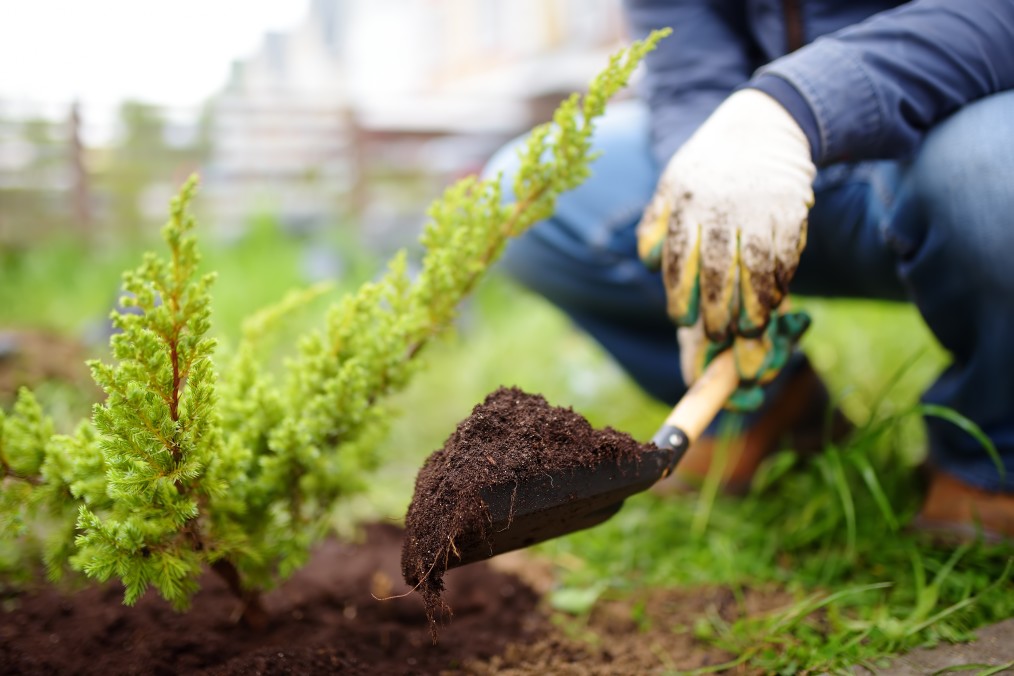 un sol de qualité pour les plantes